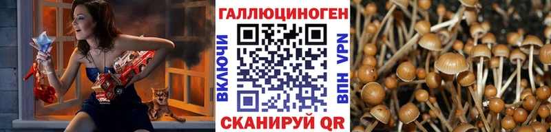 Псилоцибиновые грибы Magic Shrooms  кракен ONION  Ставрополь  продажа наркотиков 